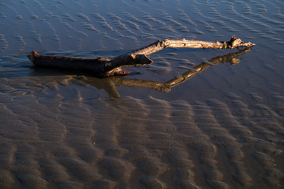 Oregon 2012