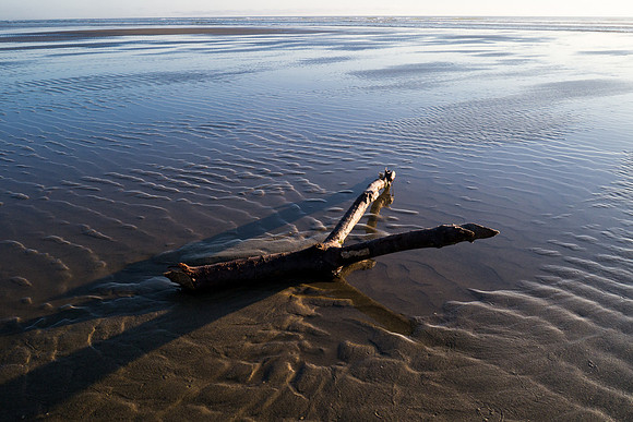 Oregon 2012