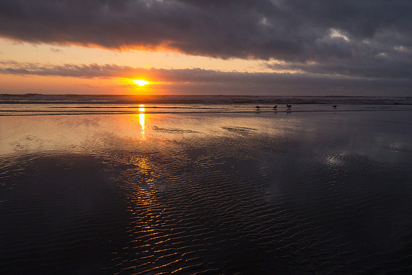 Oregon 2012