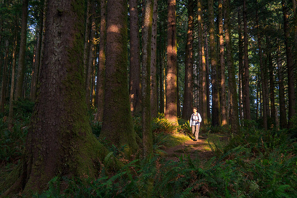 Oregon 2012