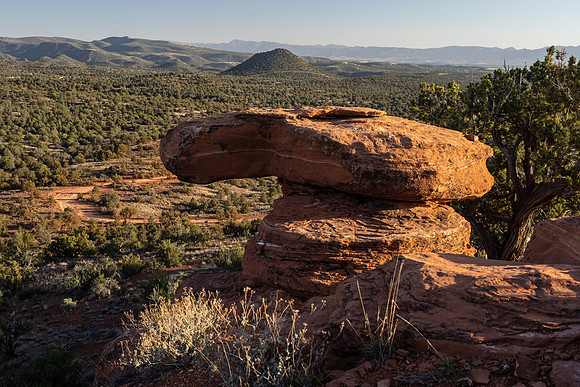 Arizona 2021