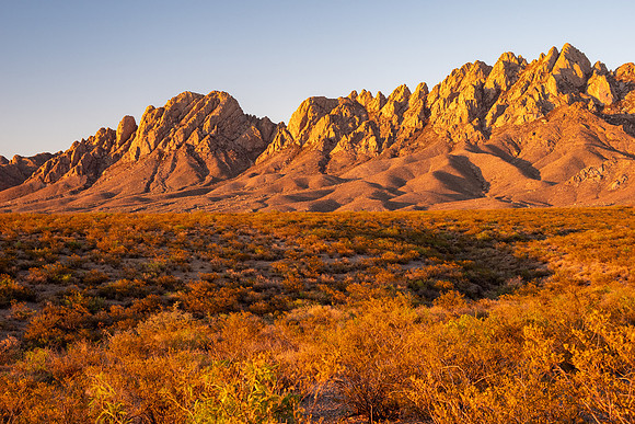 New Mexico 2025