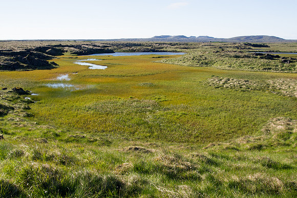 Iceland 2014