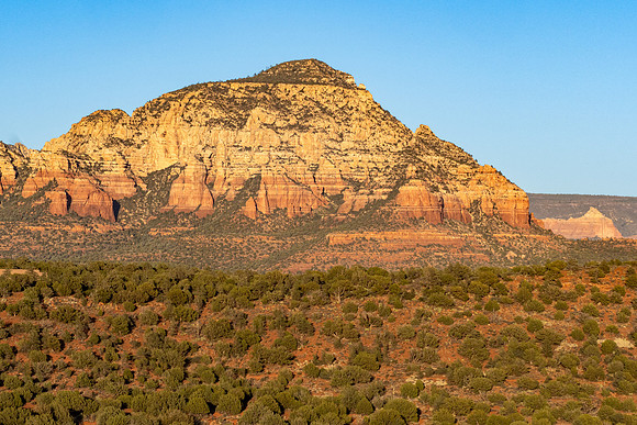 Arizona 2021