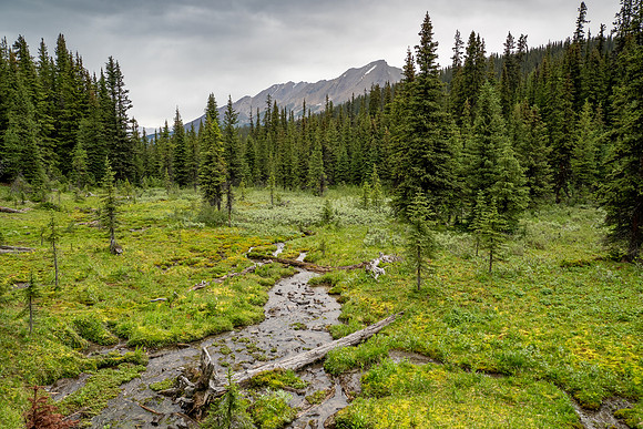 Banff National Park 2025
