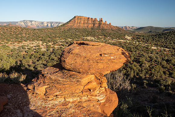 Arizona 2021