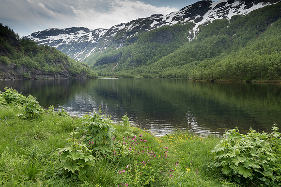 Norway 2015