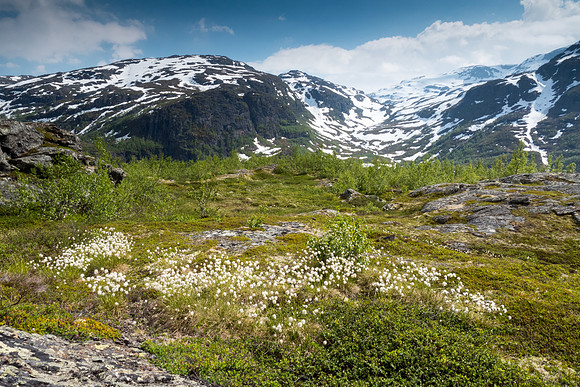 Norway 2015