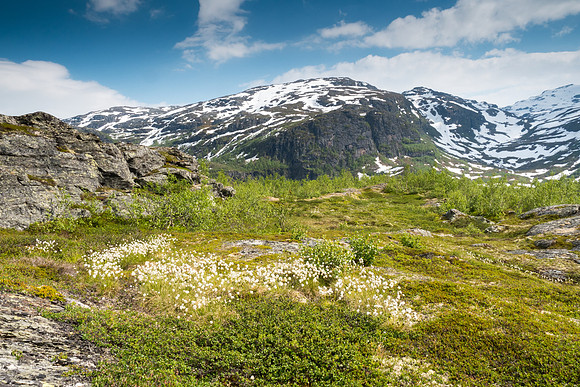 Norway 2015