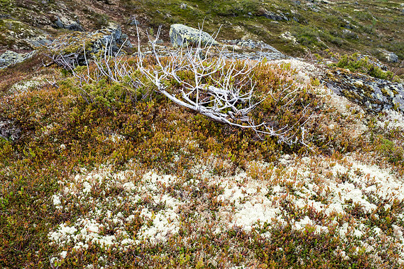 Norway 2015