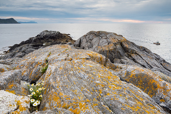 Norway 2015