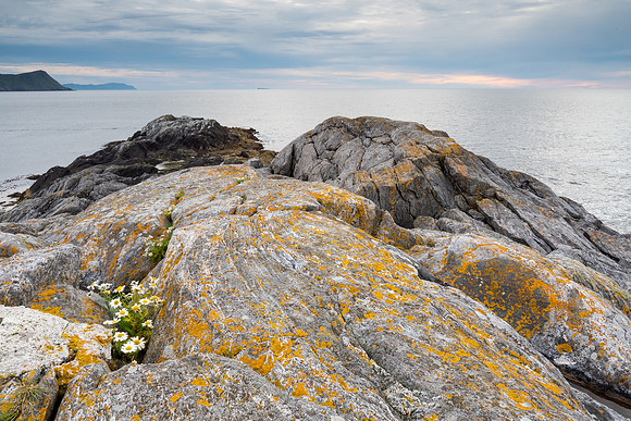 Norway 2015
