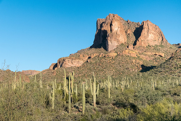 Arizona 2015 - Superstitions Ridge Hike (Mar)