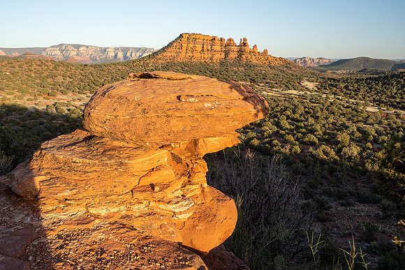 Arizona 2021