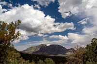 Cave Creek Canyon 2026
