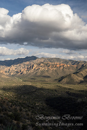 Arizona 2026