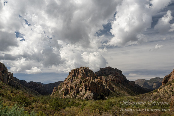 Arizona 2026