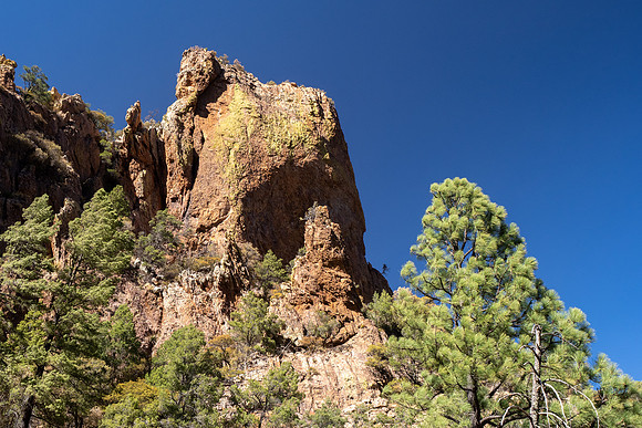 Arizona 2025