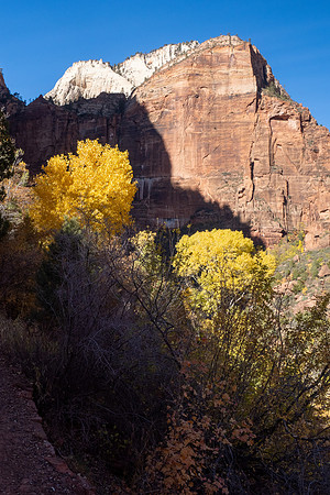 Zion National Park 2024