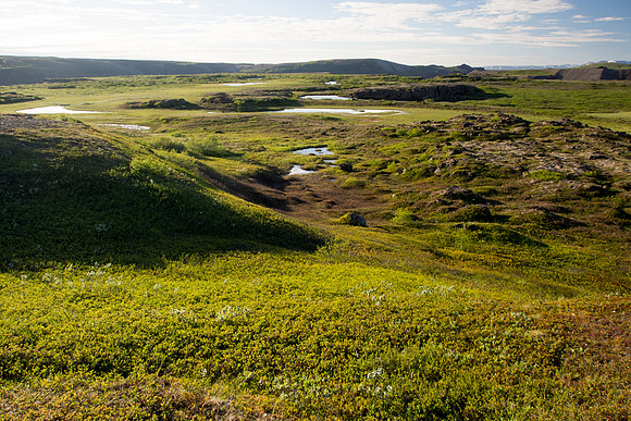Iceland 2014