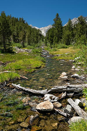 Eastern Sierra
