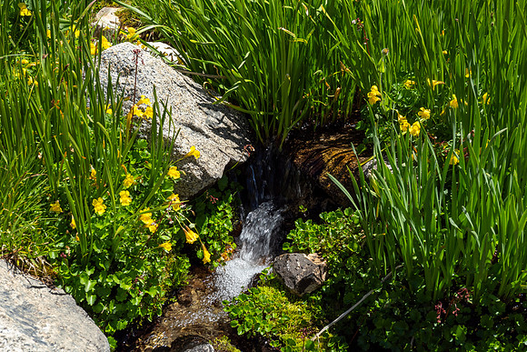 Eastern Sierra