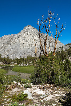 Eastern Sierra