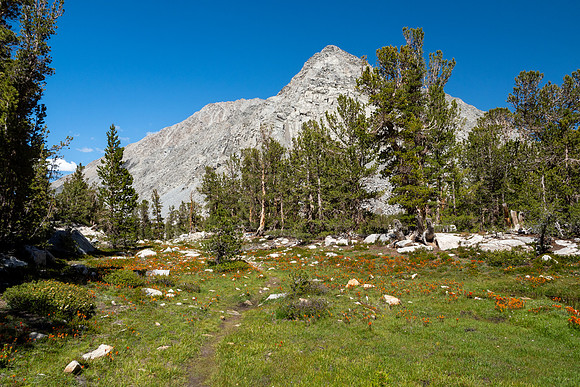 Eastern Sierra