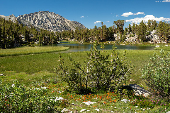 Eastern Sierra