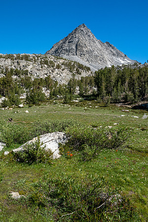 Eastern Sierra