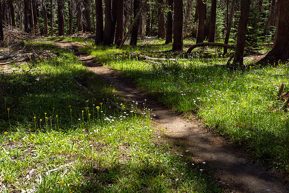Yosemite High Sierra Loop