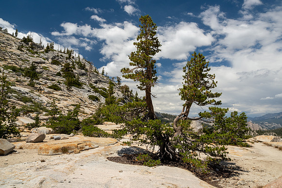 Yosemite High Sierra Loop