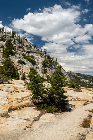 Yosemite High Sierra Loop