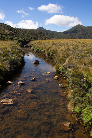 New Zealand 2013