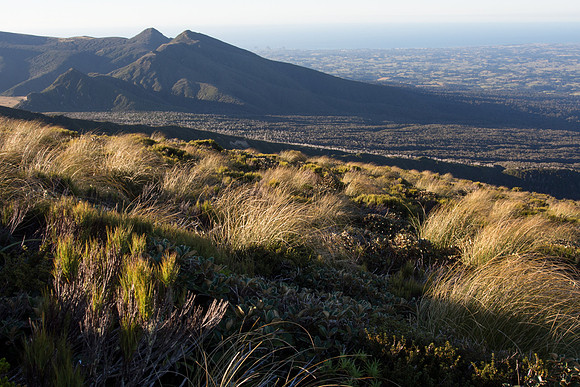 New Zealand 2013