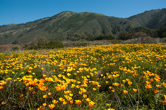 Big Sur 2007