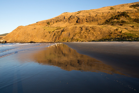 New Zealand 2013