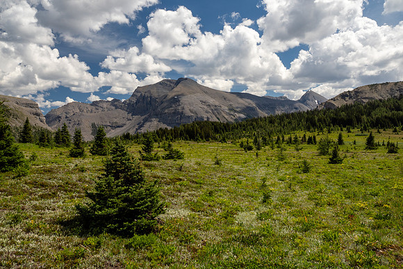 Banff National Park 2025