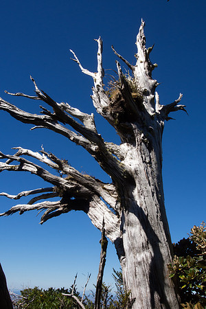New Zealand 2013