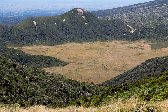 New Zealand 2013