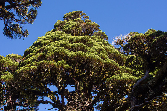 New Zealand 2013