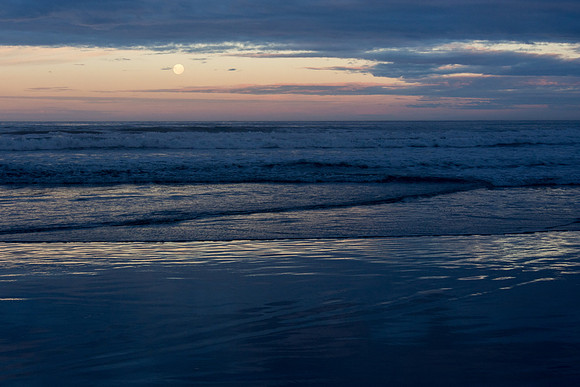 New Zealand 2013