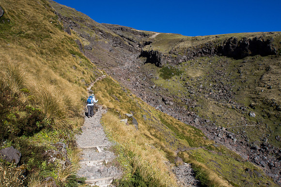 New Zealand 2013
