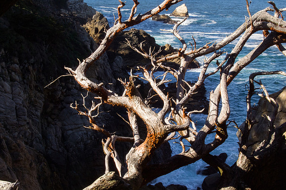 Big Sur 2011