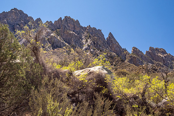 New Mexico 2025