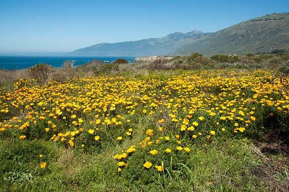 Big Sur 2007