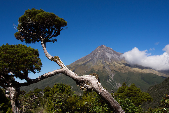 New Zealand 2013