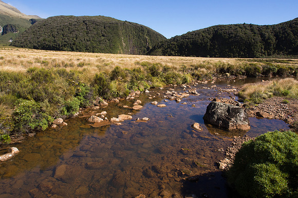 New Zealand 2013