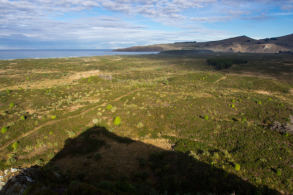 New Zealand 2013