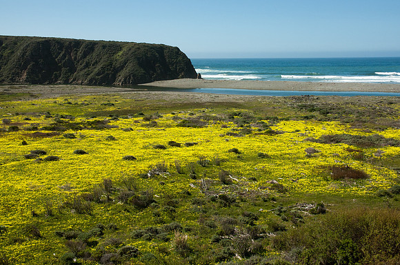 Big Sur 2007